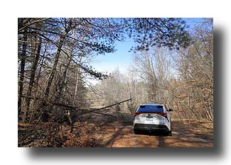 bZ4X_UpNorth-DirtRoad_07