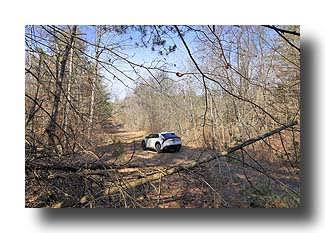 bZ4X_UpNorth-DirtRoad_09