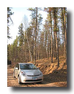 Prius_AmongTheTrees_01