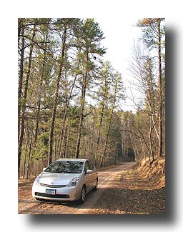 Prius_AmongTheTrees_03