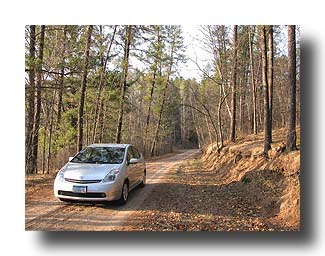 Prius_AmongTheTrees_04