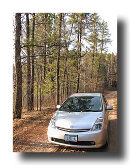 Prius_AmongTheTrees_05