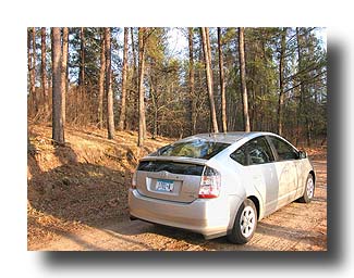 Prius_AmongTheTrees_07