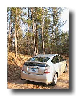 Prius_AmongTheTrees_08