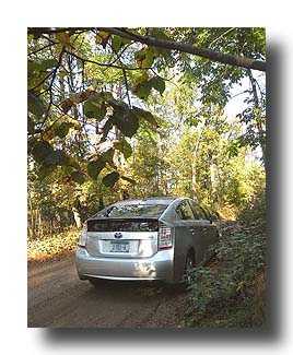 Prius_AmongTheTrees_10