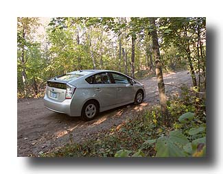 Prius_AmongTheTrees_11