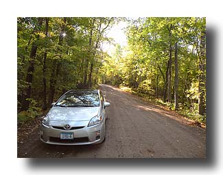 Prius_AmongTheTrees_14