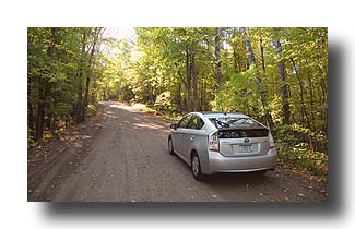 Prius_AmongTheTrees_16