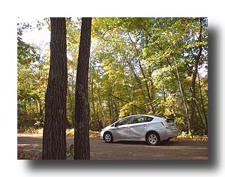 Prius_AmongTheTrees_17