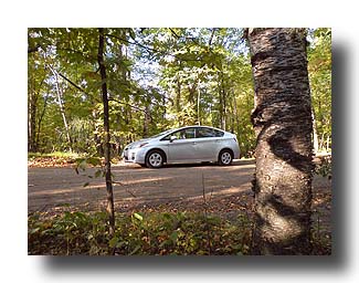 Prius_AmongTheTrees_18