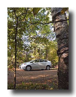 Prius_AmongTheTrees_19