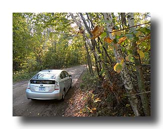 Prius_AmongTheTrees_20