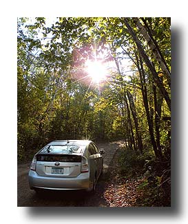 Prius_AmongTheTrees_21