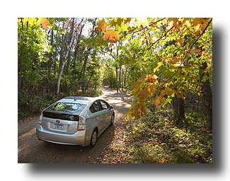 Prius_AmongTheTrees_22