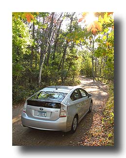 Prius_AmongTheTrees_24