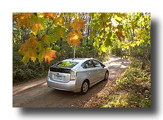 Prius_AmongTheTrees_25