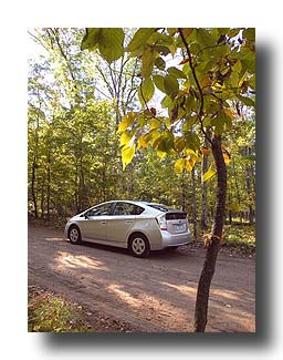 Prius_AmongTheTrees_27