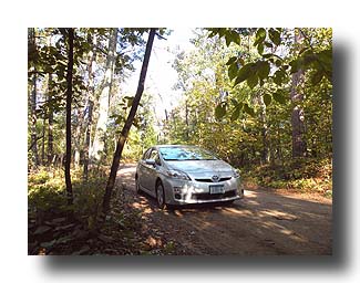 Prius_AmongTheTrees_28