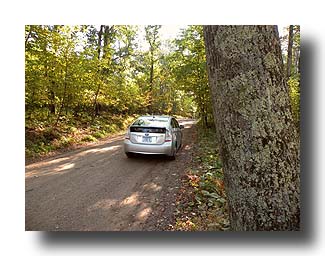 Prius_AmongTheTrees_29