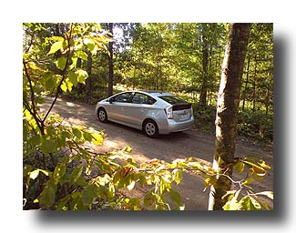 Prius_AmongTheTrees_31