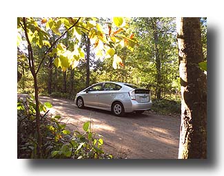 Prius_AmongTheTrees_32