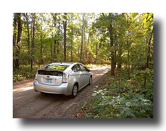 Prius_AmongTheTrees_33