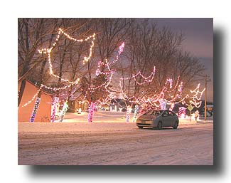 Prius_ChristmasLights_16