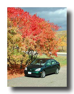 Prius_FallColors_01