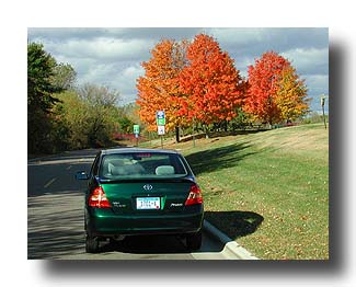 Prius_FallColors_03