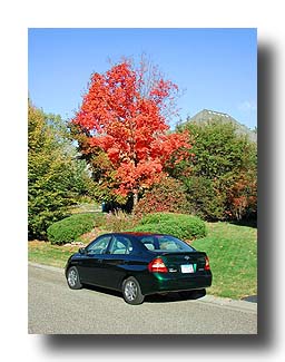 Prius_FallColors_09