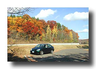 Prius_FallColors_10
