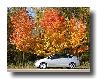 Prius_FallColors_100