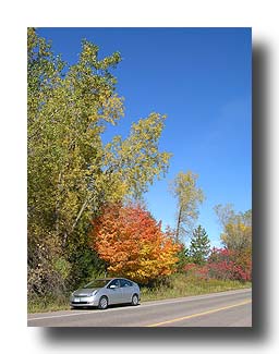 Prius_FallColors_101