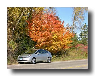 Prius_FallColors_102