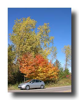 Prius_FallColors_103