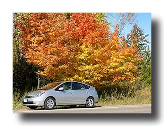 Prius_FallColors_104