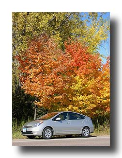 Prius_FallColors_105
