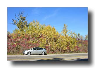Prius_FallColors_106