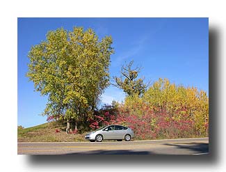 Prius_FallColors_107
