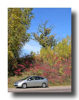 Prius_FallColors_108