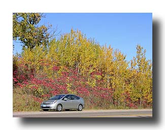 Prius_FallColors_109