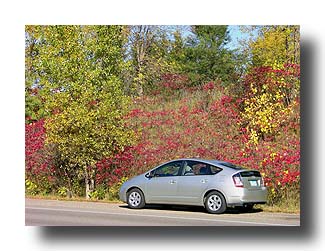 Prius_FallColors_110