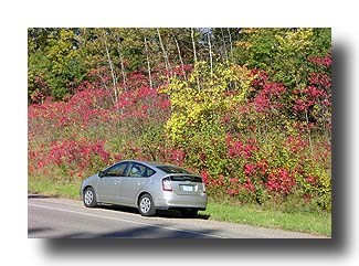 Prius_FallColors_111