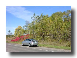 Prius_FallColors_113