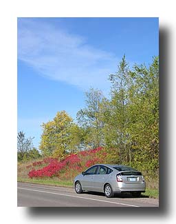 Prius_FallColors_114