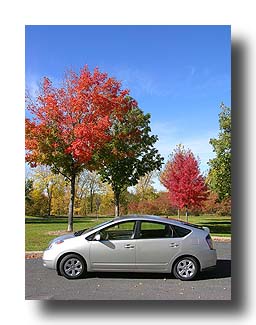 Prius_FallColors_116