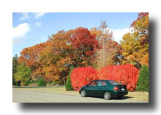 Prius_FallColors_12