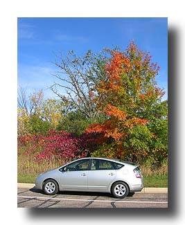 Prius_FallColors_121