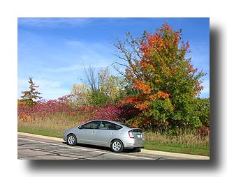 Prius_FallColors_122