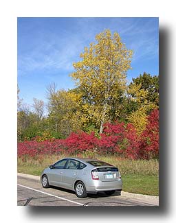 Prius_FallColors_123